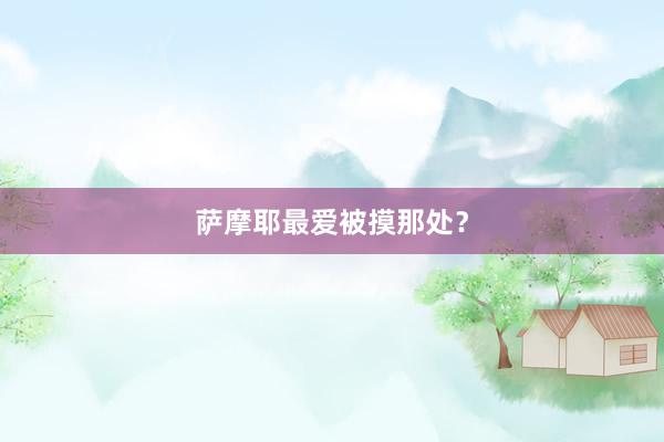萨摩耶最爱被摸那处？