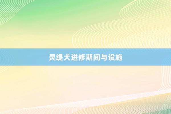 灵缇犬进修期间与设施